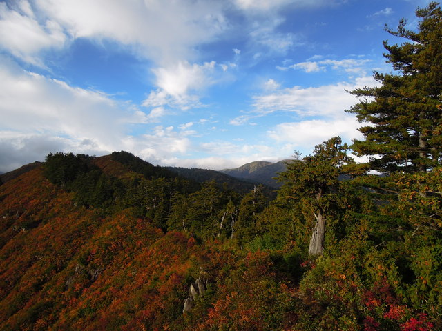e0329049_14592711.jpg