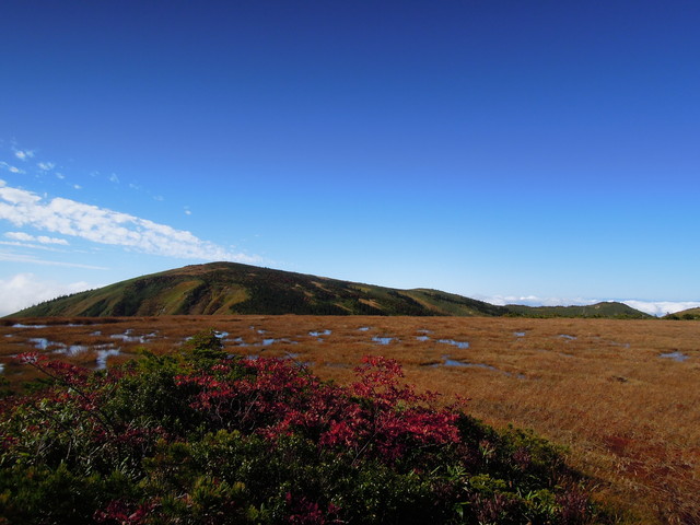 e0329049_15164935.jpg