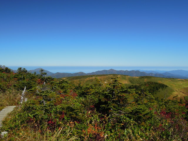e0329049_15261974.jpg