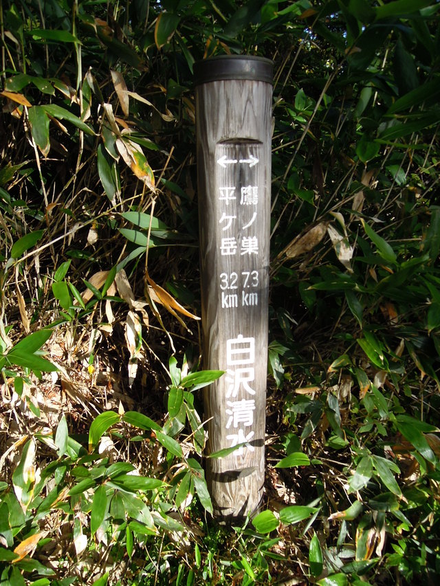 e0329049_1534879.jpg
