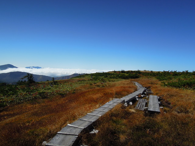 e0329049_15401113.jpg