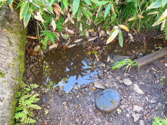 e0329049_154172.jpg