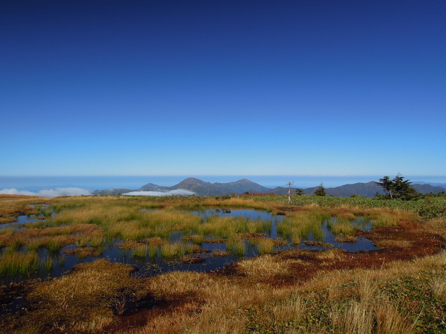 e0329049_1543365.jpg