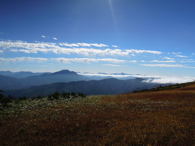 e0329049_1543580.jpg