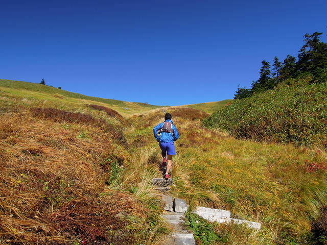 e0329049_1546084.jpg