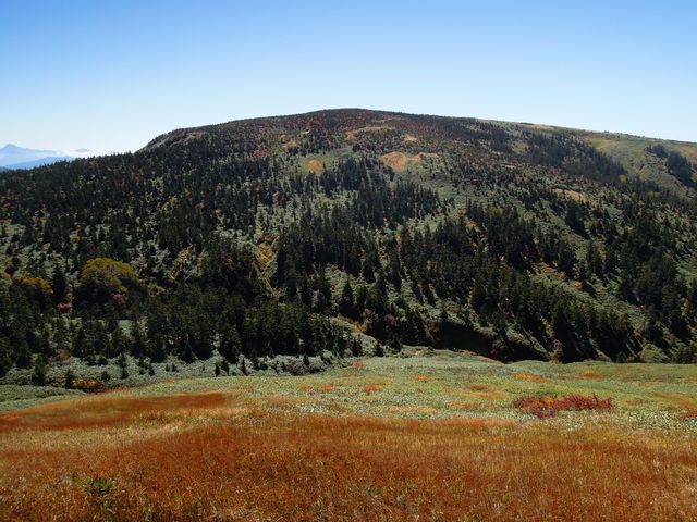 e0329049_15482089.jpg