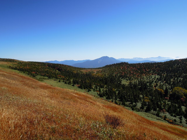 e0329049_15541022.jpg