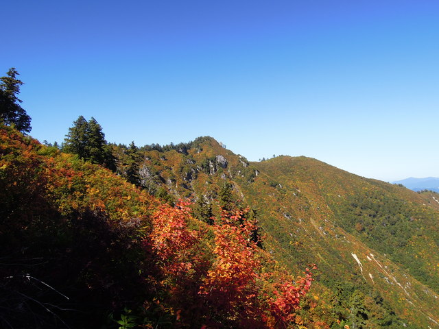 e0329049_15582744.jpg