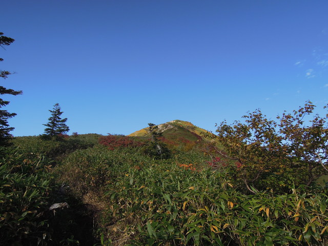 e0329049_1565441.jpg