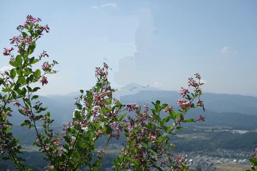 b0243152_17432428.jpg