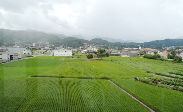 b0173754_14171735.jpg