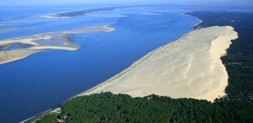 b0296855_20413475.jpg