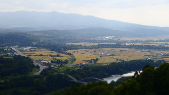 b0050067_1311736.jpg