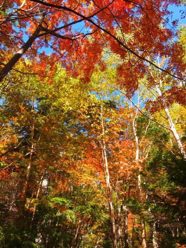 c0144868_21585099.jpg