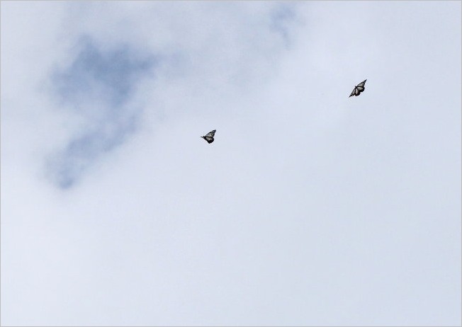 f0181173_23341511.jpg
