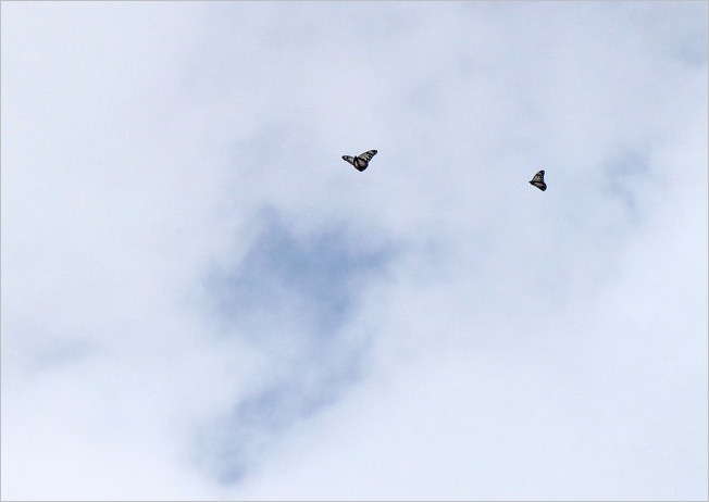 f0181173_23342721.jpg