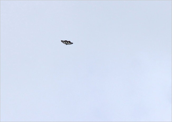 f0181173_23343749.jpg