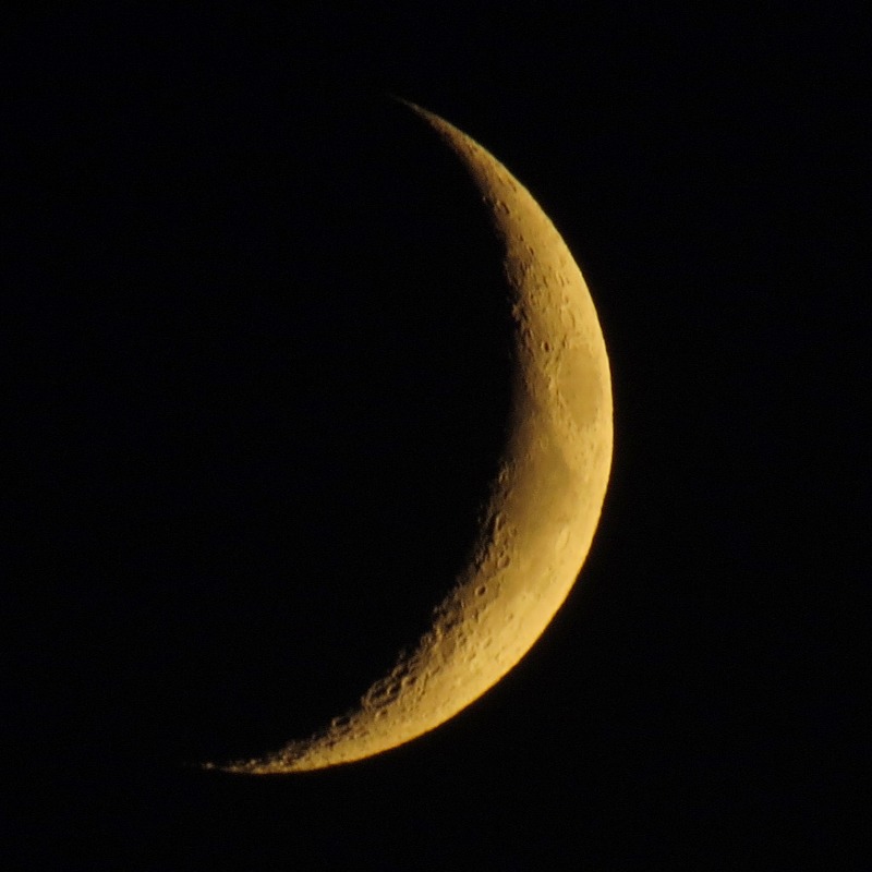 c0183777_54587.jpg