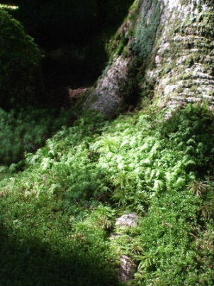 f0039281_17434868.jpg