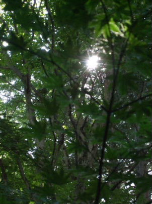 f0039281_17441299.jpg