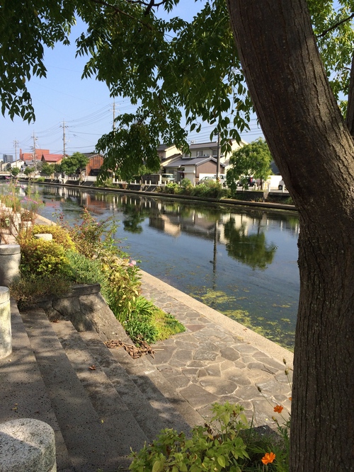 b0174284_15115687.jpg