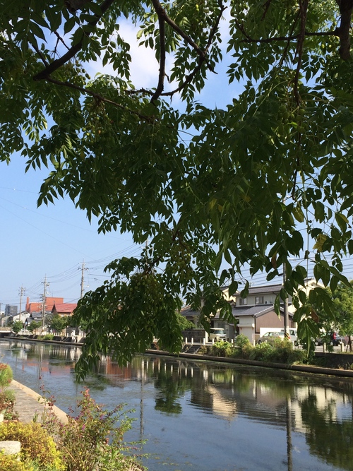b0174284_1512643.jpg