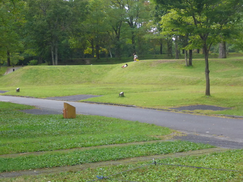 e0005887_11265077.jpg