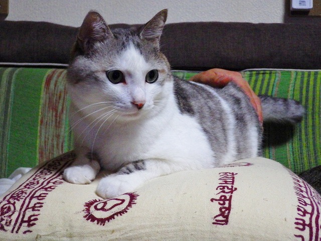 a0159490_11121652.jpg