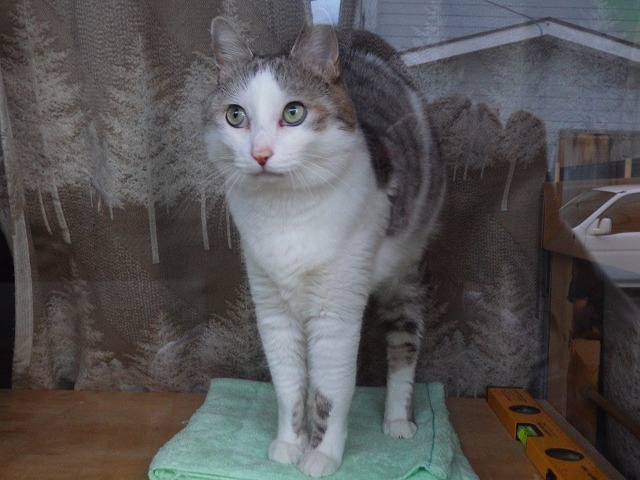 a0159490_16544463.jpg