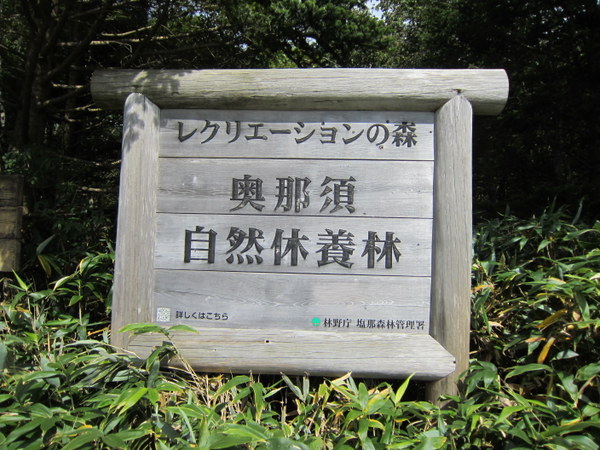 d0098295_22515817.jpg