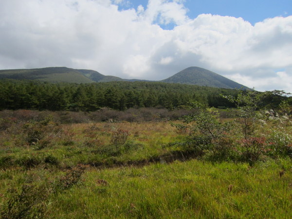 d0098295_22594157.jpg
