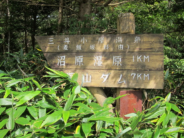 d0098295_23131247.jpg