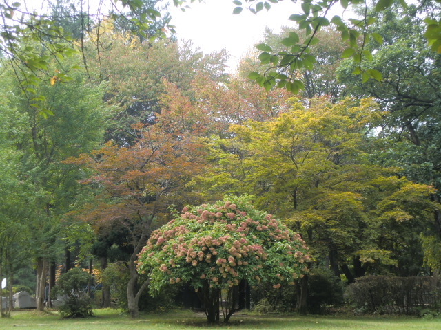 b0044296_22595499.jpg