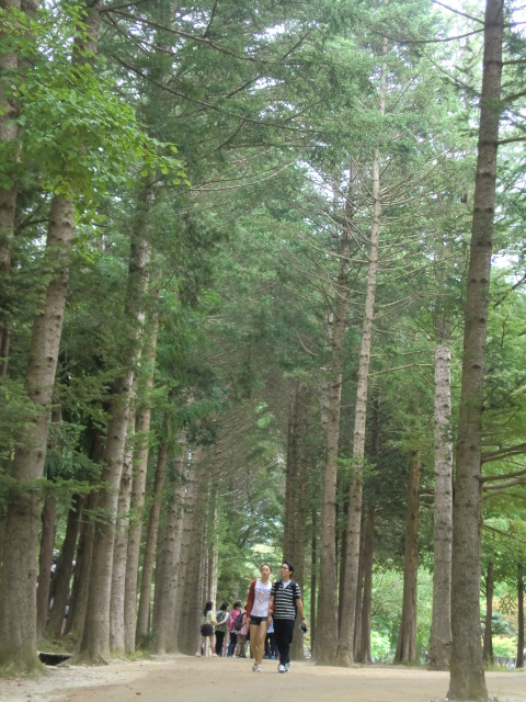 b0044296_23182922.jpg