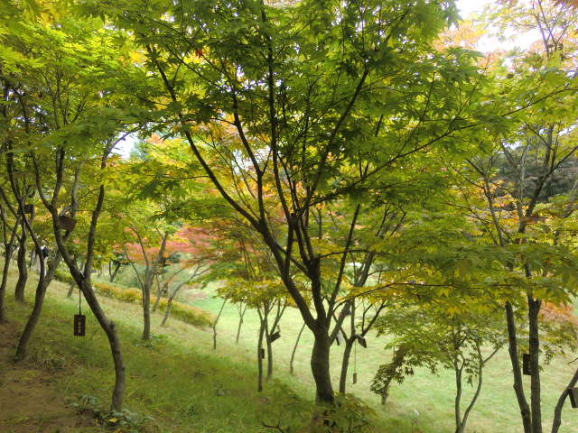 b0044296_23332244.jpg