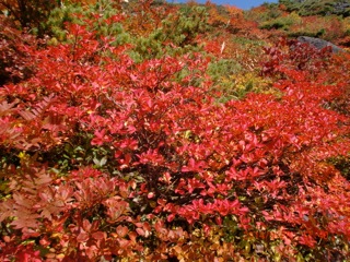 c0151898_20213316.jpg