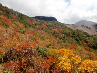c0151898_20215911.jpg