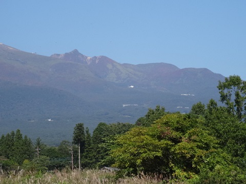 d0257298_8544815.jpg