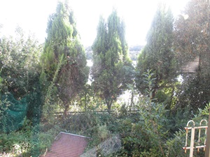 d0240201_14270600.jpg