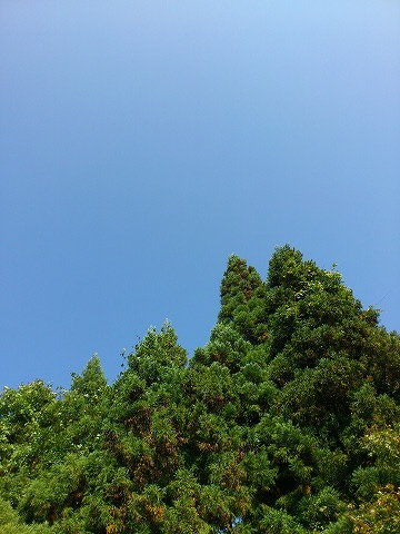 f0100911_21485723.jpg