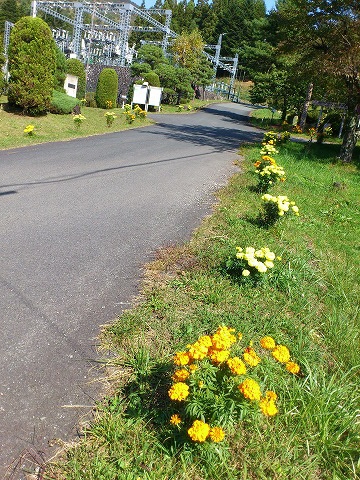 f0100911_2148970.jpg