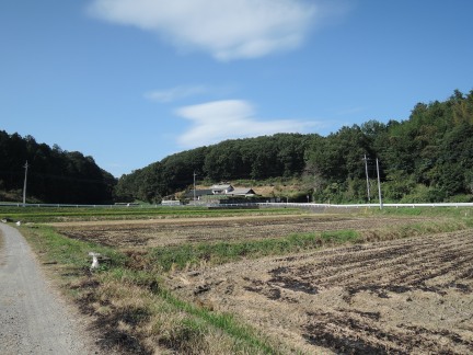 c0051112_171147.jpg
