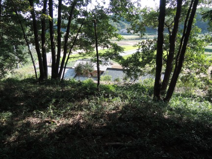 c0051112_17232100.jpg