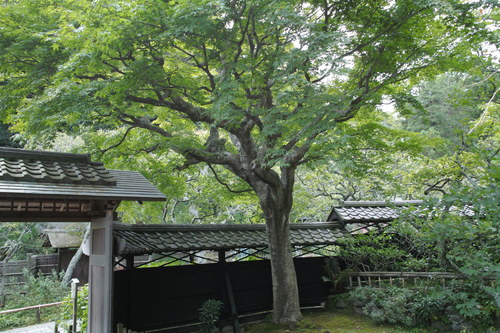b0285619_8542490.jpg