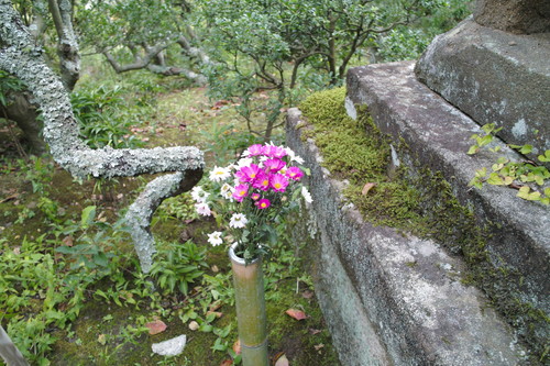 b0285619_8591711.jpg