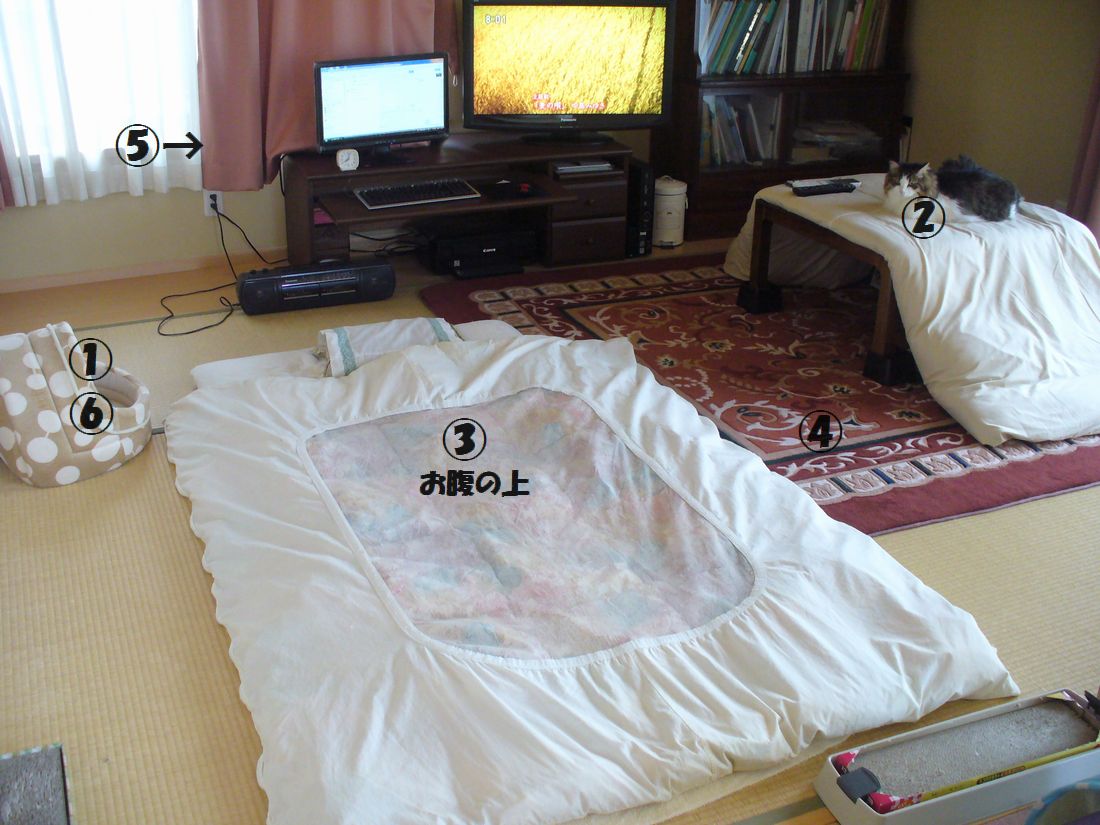 f0346527_20402480.jpg