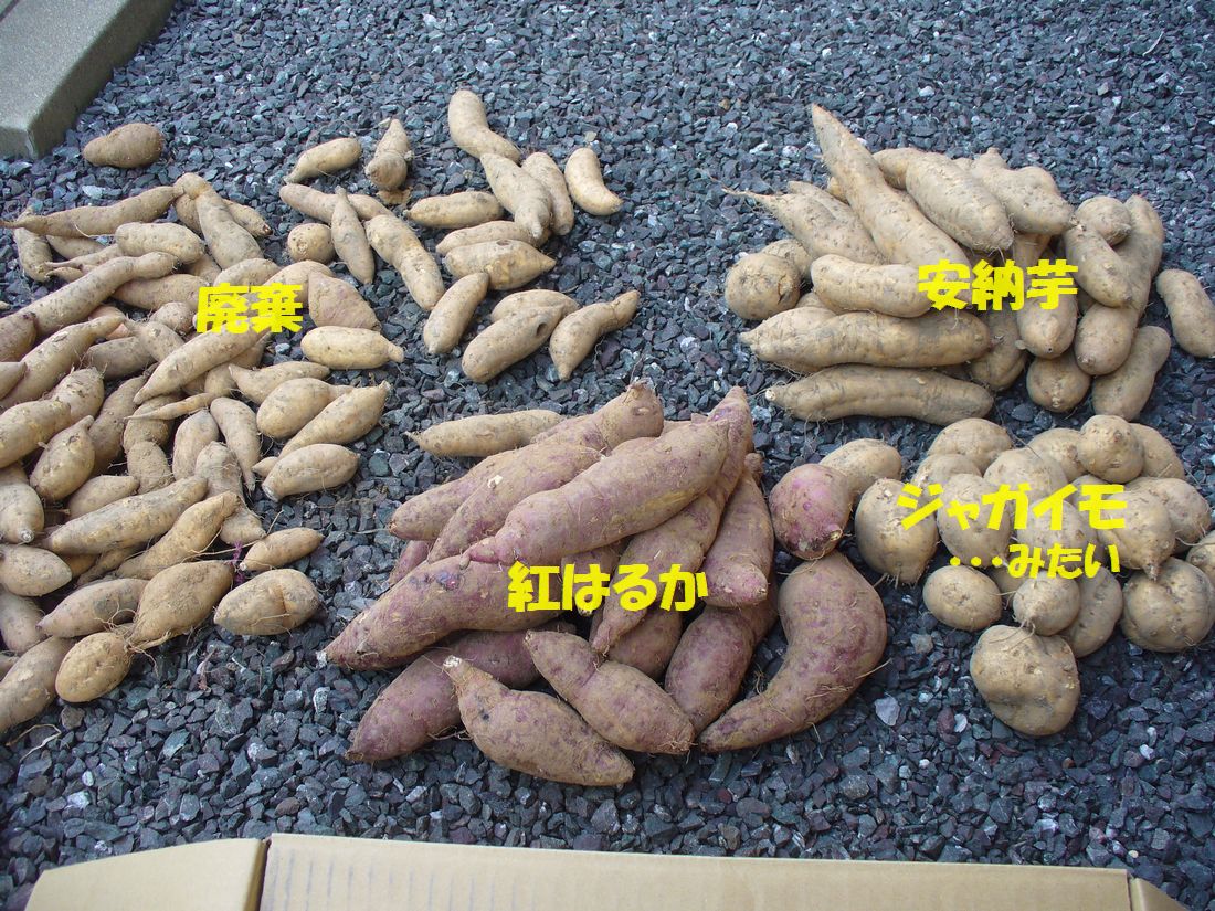 f0346527_2046276.jpg