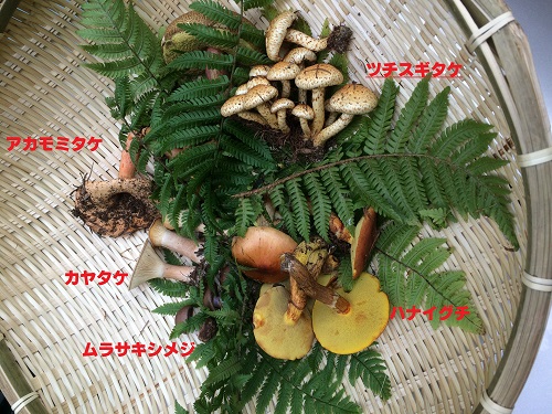 a0230928_21215139.jpg