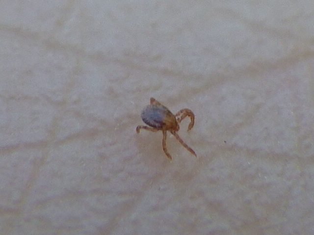 f0118332_22443666.jpg