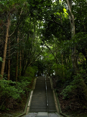f0315034_12395949.jpg